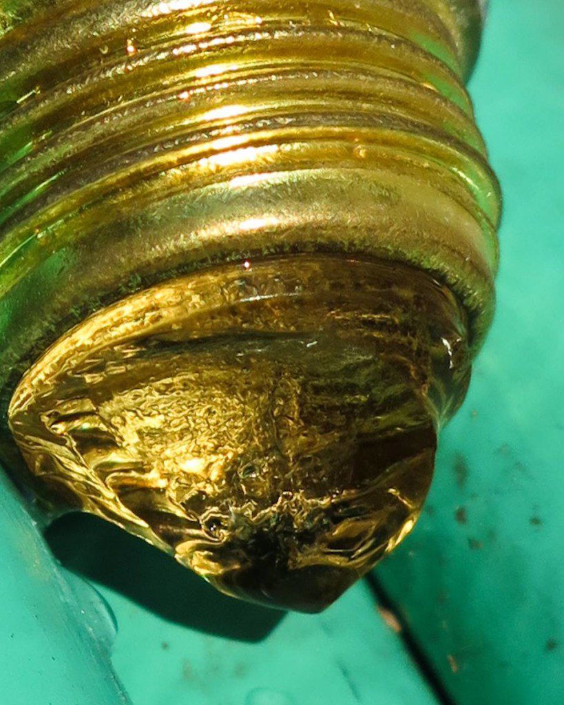 frozen.hose.bib Rona Fischman