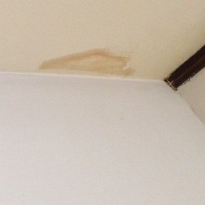 ceiling stain