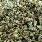 Vermiculite1