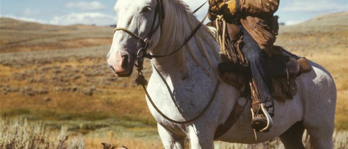 cowboy doesn't mask