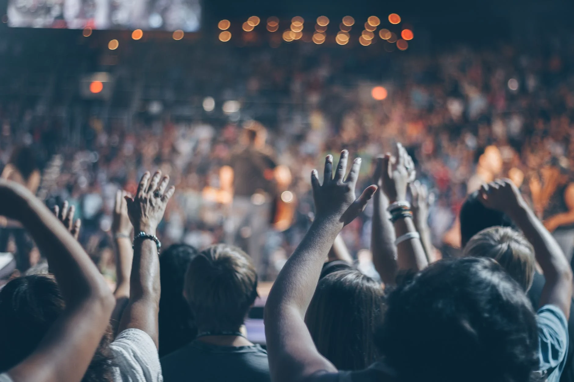 Concert crowd